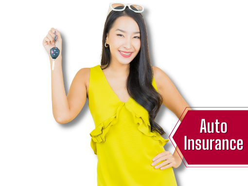 Auto Insurance Icon