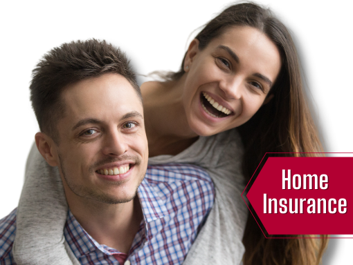 Home Insurance Icon